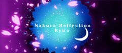 Sakura Reflection