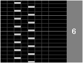�g���� : BLOCKS[SH]